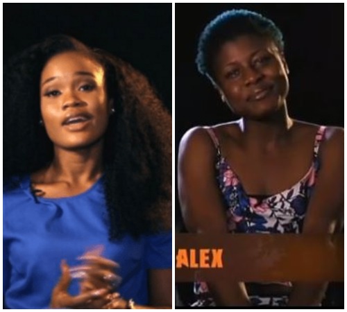 BB Naija 2018: Alex , Tobi And Cee C Quarrel