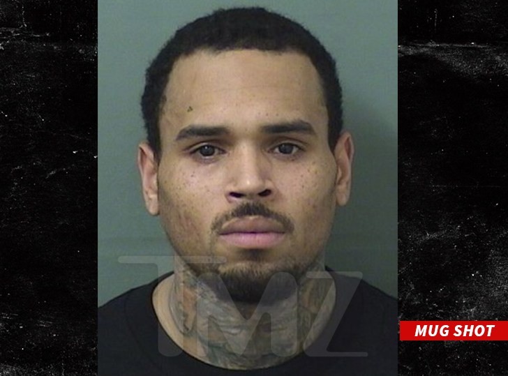 Chris Brown Reportedly Arrested In Florida Following His Concert