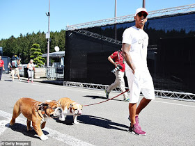 Lewis Hamilton flies his pet dogs around the world by private jet (photos