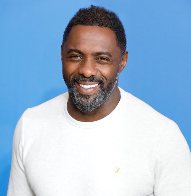 “You cannot take someone’s voice away” Idris Elba backs Meghan Markle