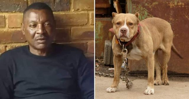 Ex-Zambian Footballer, Mulala Mauled To Death By His Dogs