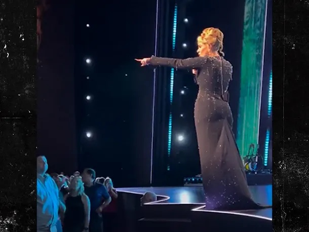 Adele yells at security to leave fan alone during Las Vegas show