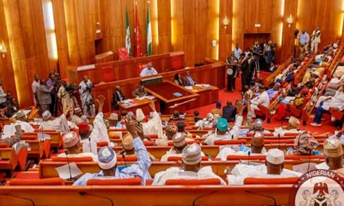 Super Eagles: Apologise to Nigeria – Senate tells Libyan Govt