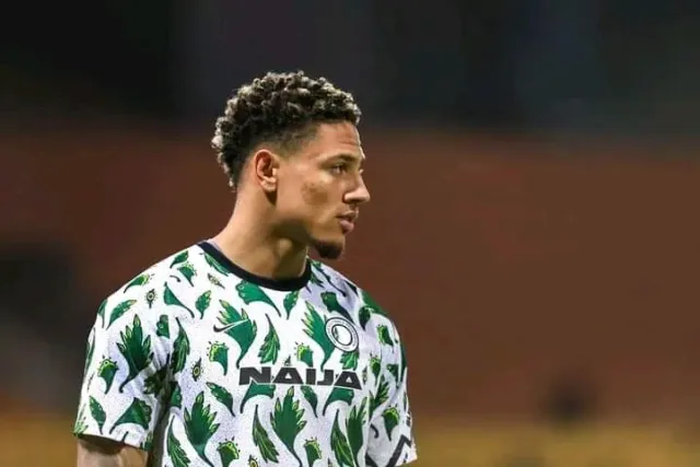 Maduka Okoye recalled to Super Eagles