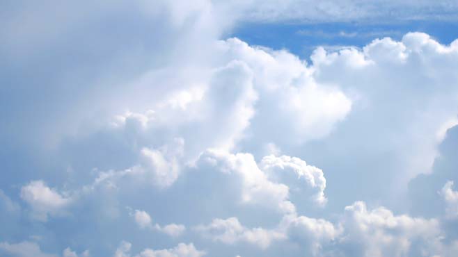 Check out the weather condition for Friday, December 1