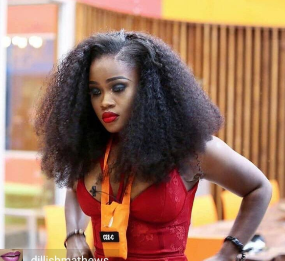 Cee-C has been declared the first BBNaija participant to make the worldwide Twitter trend.