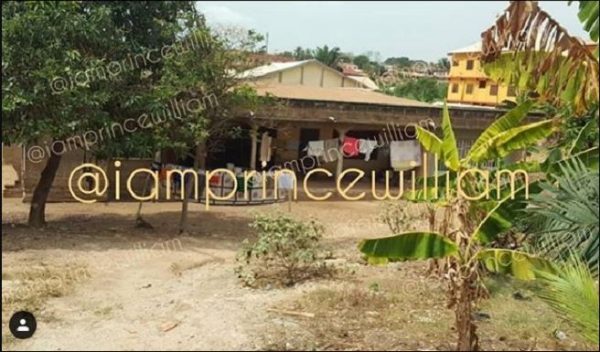 Afia Schwarzenegger’s Ex-boyfriend Exposes The Poverty Her Mother Lives