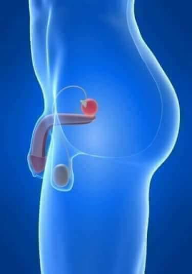 Video: Crayon – So Fine