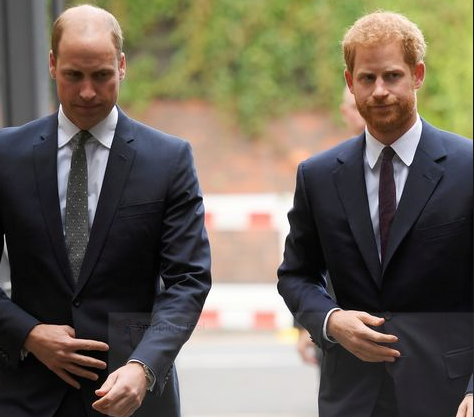 William and I are on different paths’ – Prince Harry acknowledges tensions with his brother