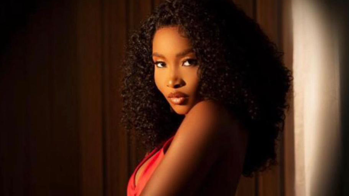 Ilebaye wins BBNaija All-Stars edition,  pockets N120 million grand prize