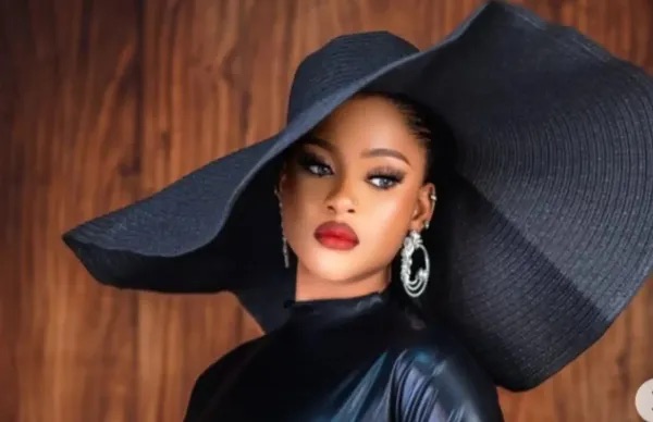 I lost 17 brand deals because of my online controversies -Phyna