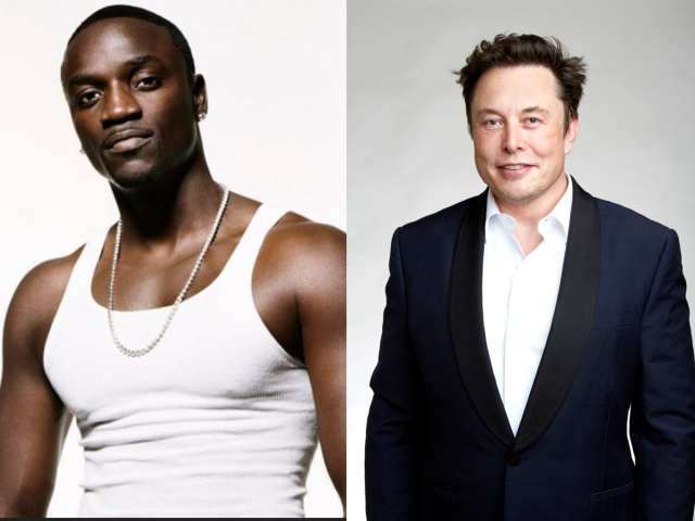 Elon Musk is defending white men in South Africa – Akon