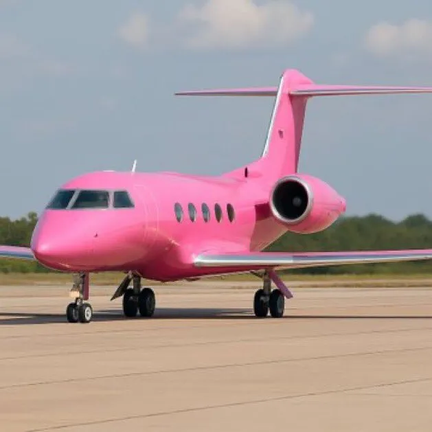 Nicki Minaj announces acquisition of her private jet