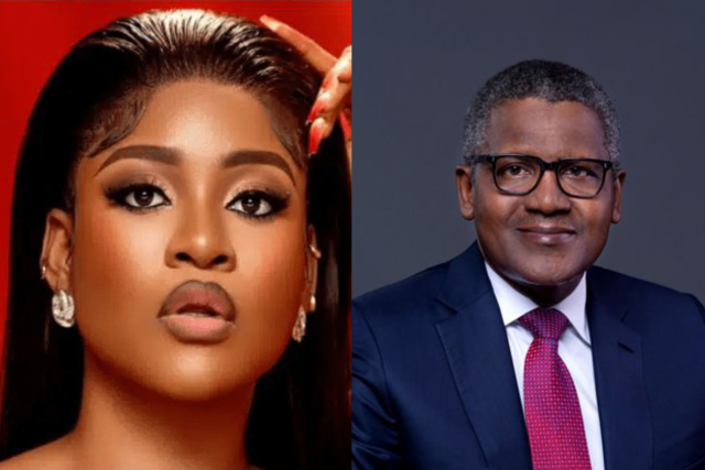 Phyna drags Dangote after company’s truck allegedly crushes sister’s leg