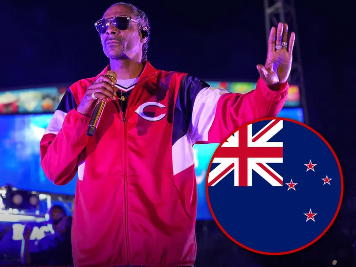Rapper Snoop Dogg cancels New Zealand show after promoter was convicted of s3xual assault