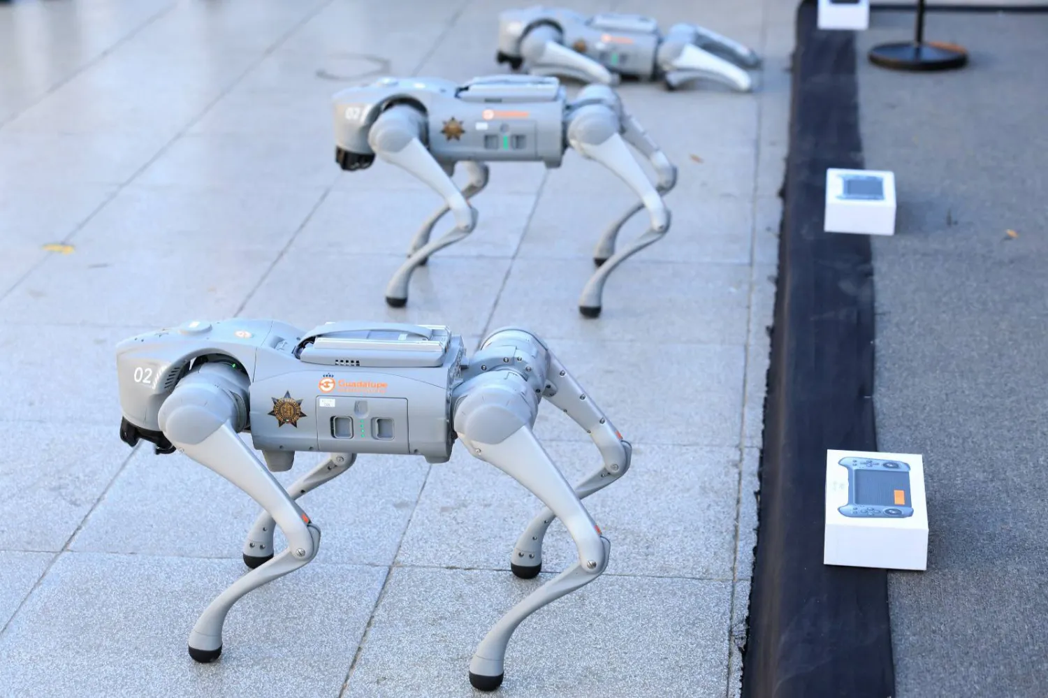 Robot dogs to help Mexican police at 2026 World Cup