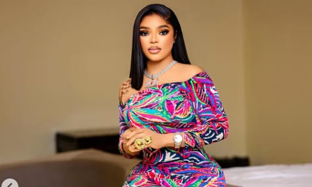 Bobrisky was kept in soundproofed cell – Investigative Panel